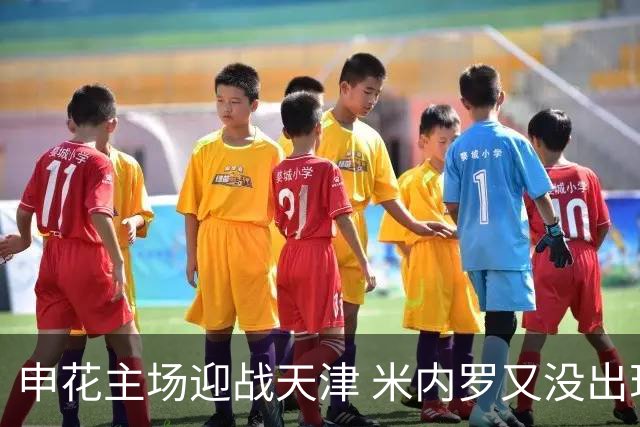 申花主场迎战天津 米内罗又没出现在比赛名单