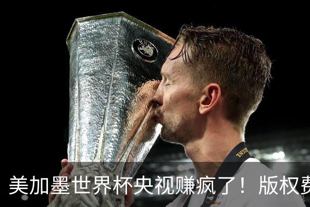 美加墨世界杯央视赚疯了！版权费仅6000万美元，收入或破80亿大关